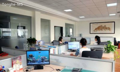 Shenzhen Tonghe Technology Co., Ltd.