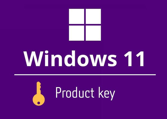Доставка электронной почты ключа продукта  Windows 11 языка Muliti домашняя