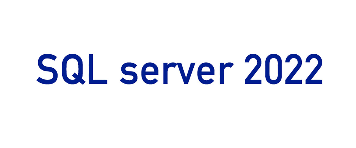 Китай самый лучший SQL 2022 Std на сбываниях