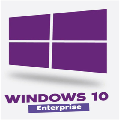 5 User Lifetime Windows 10 Professional Activation Code International Product Key Online