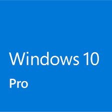 Windows 10 Professional Oem 1 User Global Activation Lifetime Online