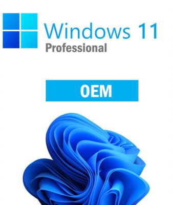 Upgrade to Windows 11 Pro OEM and take advantage of enhanced security advanced business tools and a modern intuitive interface