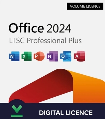 Глобальная лицензия Office 2024 Professional Plus LTSC Volume на 500 пользователей для Windows