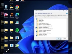 Ключ Windows 11 профессиональный