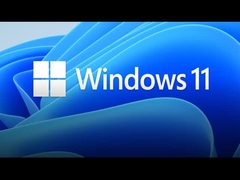Ключ продукта Windows 10/11 Professional 1 ПК Розничная лицензия