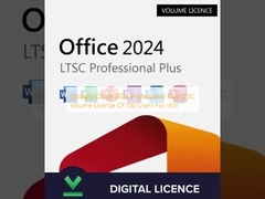 Глобальная лицензия Office 2024 Professional Plus LTSC для корпоративных пользователей (100 пользователей) для Windows